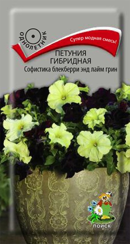 Петуния Софистика блекберри энд лайм грин гибридная  5шт_10