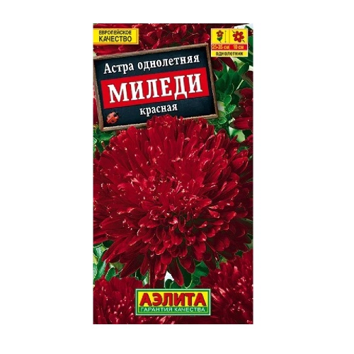 Астра Миледи красная 0_2гр_10