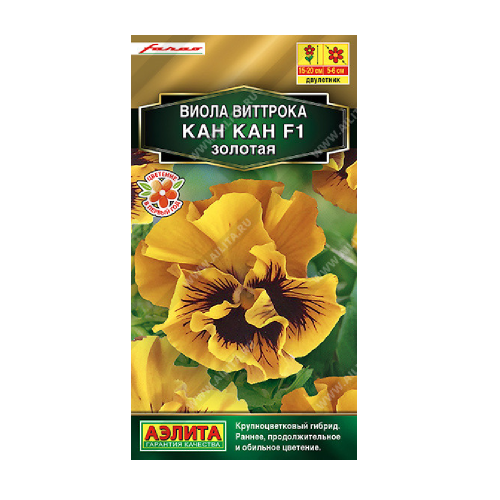 Виола Кан-Кан золотая F1 7шт _10