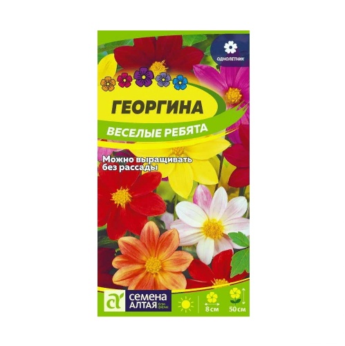 Георгина Веселые ребята  0_2гр_10