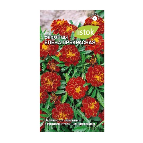 Бархатцы Елена прекрасная  0_2гр_10