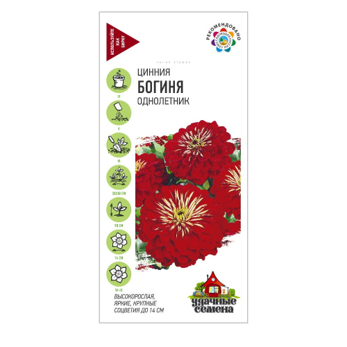 Цинния Богиня_Удачные семена  0_3гр_10