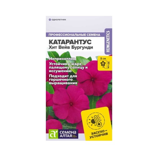 Катарантус Хит Вейв Бургунди 5шт_10