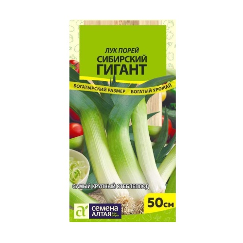 Лук Порей Сибирский Гигант  0_5-1гр_10