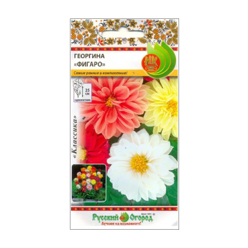 Георгина Фигаро  0_2гр_10_200