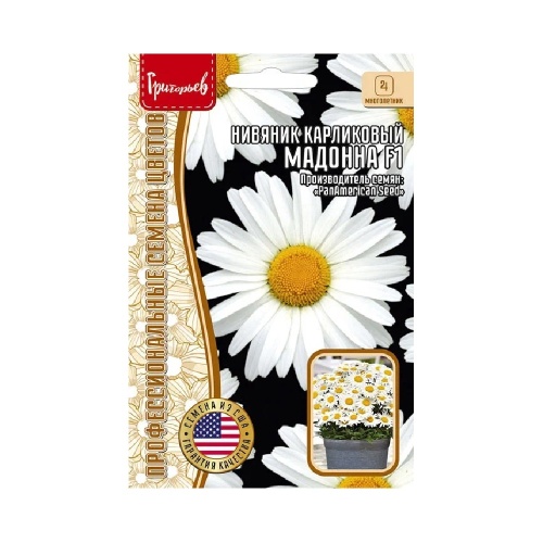 Нивяник карликовый  Мадонна 5 шт _10