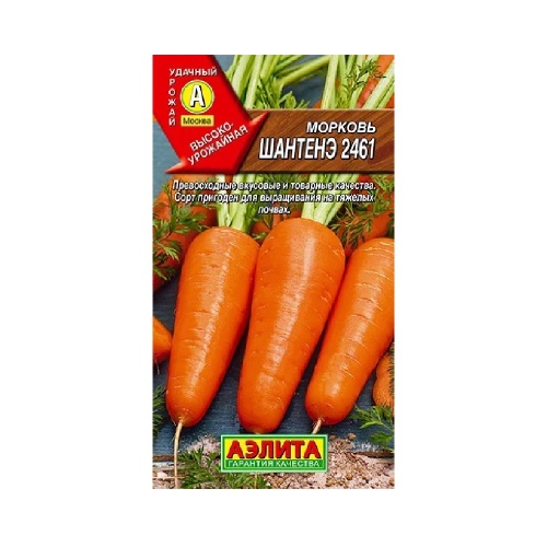 Морковь Шантанэ 2461 2гр  _10