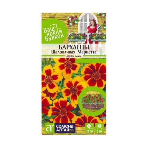Бархатцы Шаловливая Мариетта  0_2-0_3гр_10