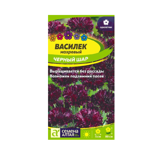 Василек Черный Шар махровый 0_3-0_5гр_ 10