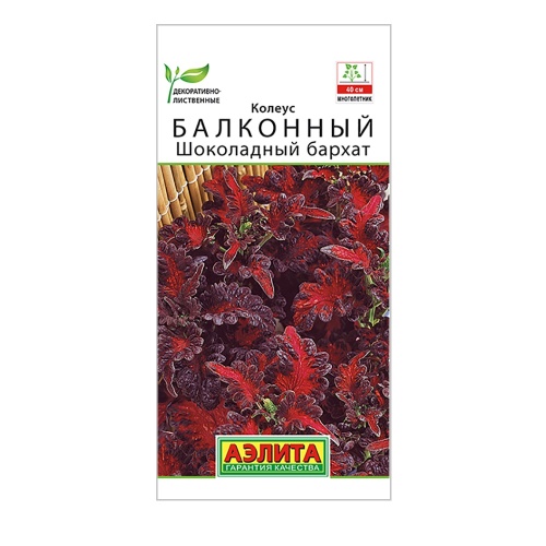 Колеус балконный Шоколадный бархат 5шт_10