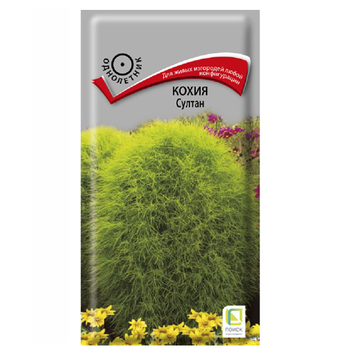 Кохия Султан  0_1гр_10