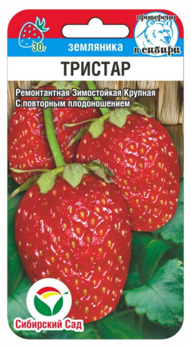 Земляника Тристар  10шт_10