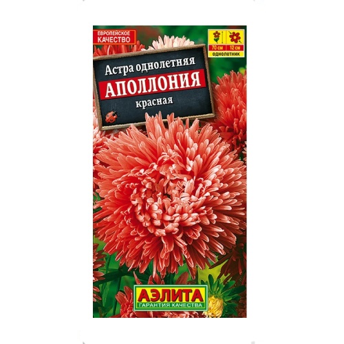 Астра Аполлония красная  0_2гр_10