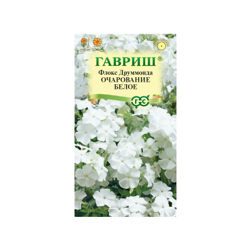 Флокс друммонда Очарование белое  0_05гр_10