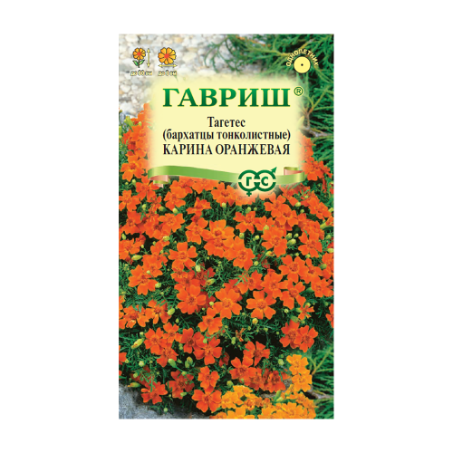 Бархатцы Карина оранжевая тонколистные  0_05гр_10