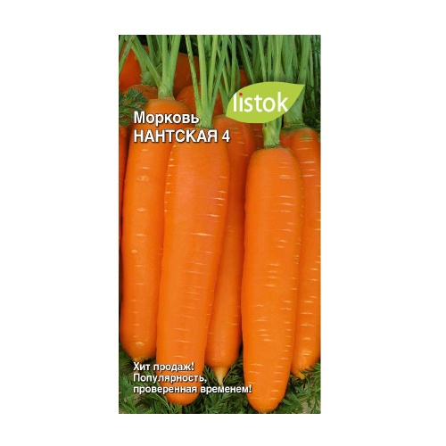 Морковь Нантская 4  1_5гр_10