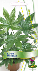 Фатсия японская  3шт_10