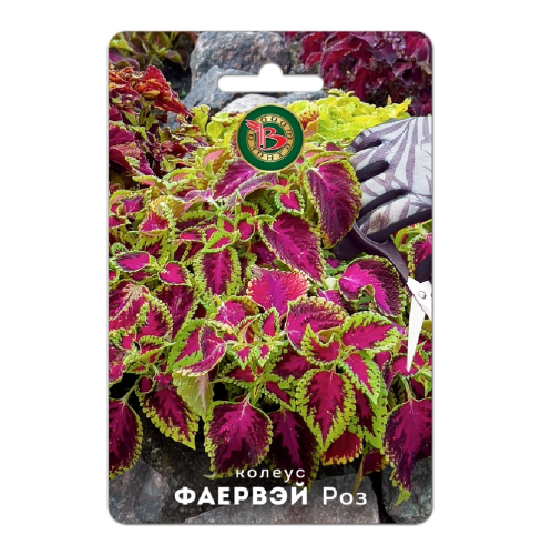 Колеус Файервей Роз 10шт_5_10