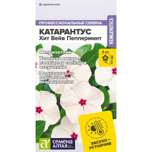 Катарантус Хит Вейв Пепперминт 5шт_10