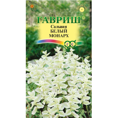 Сальвия Белый монарх  0_05гр_10