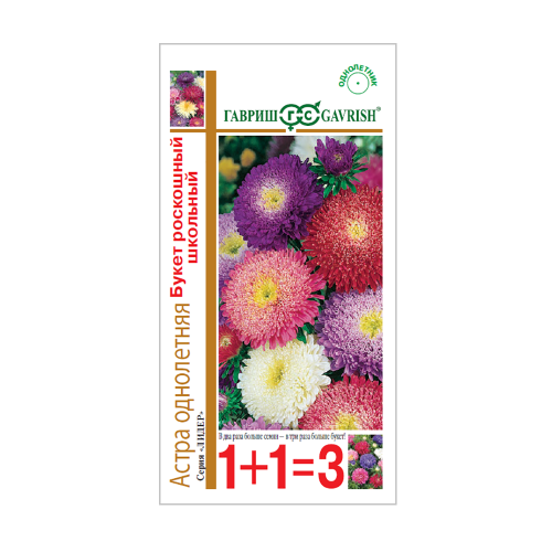 Астра Букет роскошный школьный_1+1  0_5гр_10