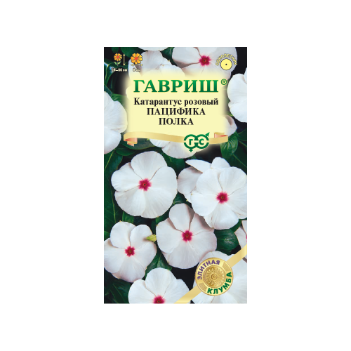 Катарантус Пацифика Полка  5шт_10