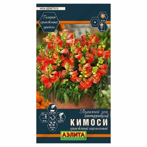 Львиный зев Кимоси оранжевый карликовый  0_05г_10