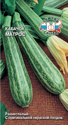 Кабачок Матрос  2гр_10