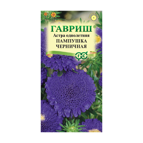 Астра Пампушка черничная  0_3гр_10