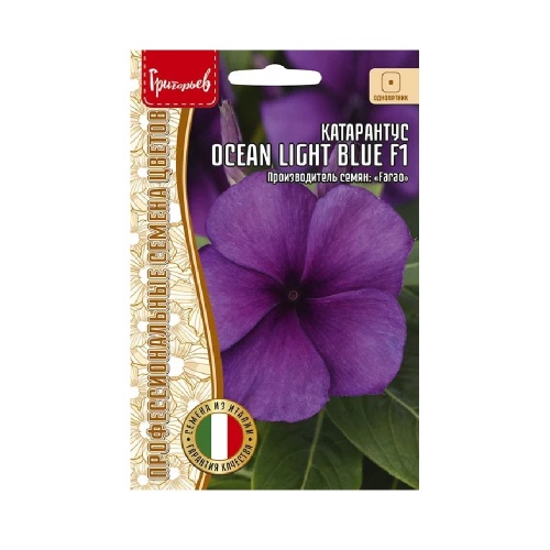 Катарантус Ocean Light Blue розовидный 5шт_10