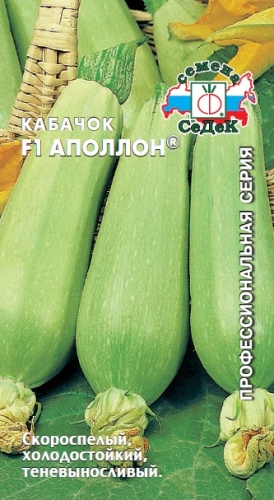 Кабачок Аполлон F1  1гр_10_100