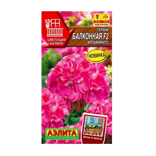 Герань Балконная фламинго F2 5шт_10