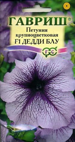 Петуния Дедди Блу F1 крупноцветковая  7шт_10