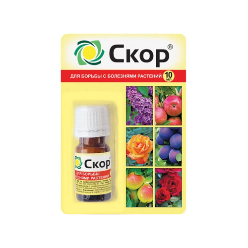 СКОР ВХ 10мл  _100