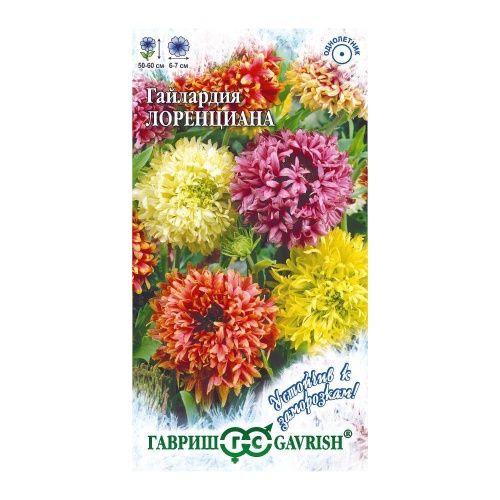 Гайлардия Лоренциана  0_1гр_10