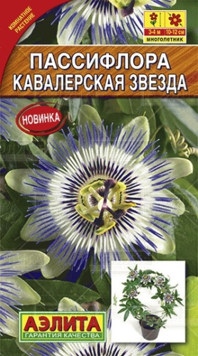 Пассифлора Кавалерская звезда 5шт _10