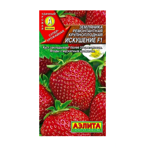 Земляника Искушение  10шт_10