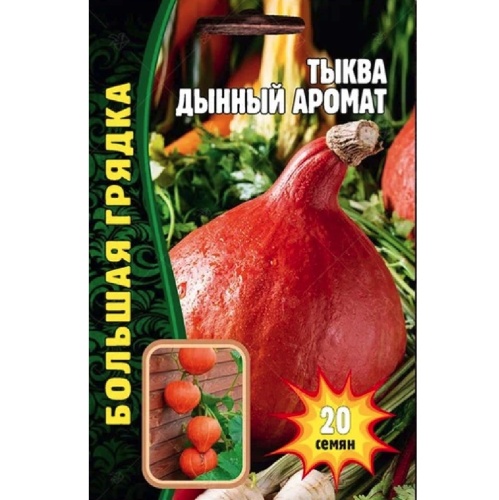 Тыква Дынный Аромат  15шт_10