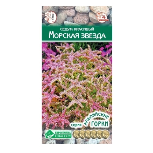 Седум Морская звезда 10шт _10