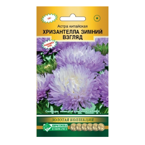 Астра Хризантелла Зимний взгляд 5шт_10