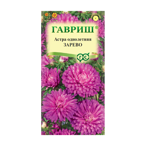 Астра Зарево  0_3гр_10