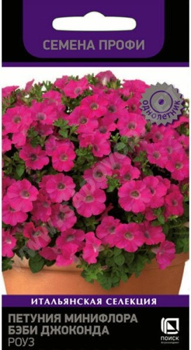 Петуния Бэби Джоконда Роуз минифлора  10шт_10