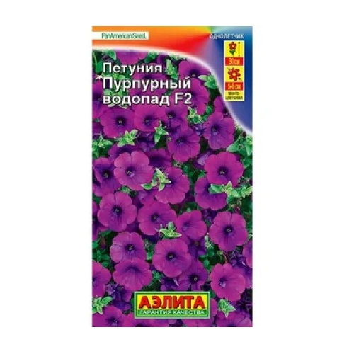 Петуния Пурпурный водопад F2 7шт _10
