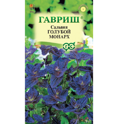 Сальвия Голубой монарх  0_05гр_10