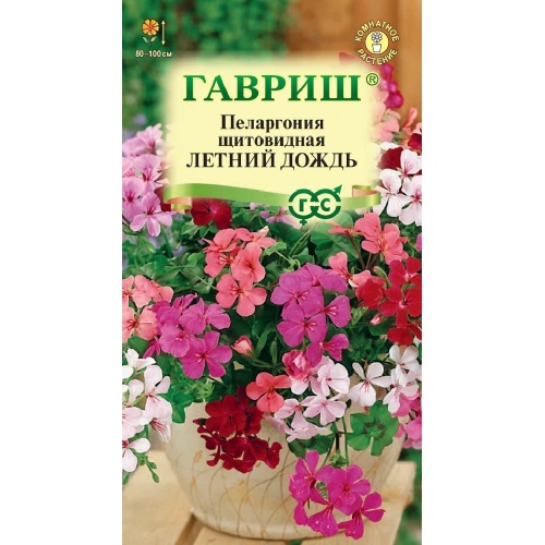 Пеларгония Летний дождь ампельная смесь 3шт _10