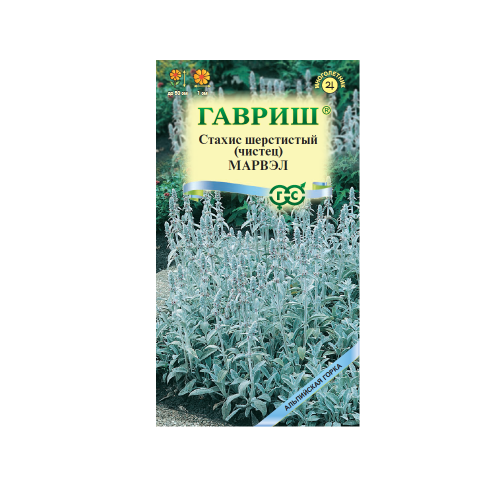 Стахис Марвел шерстистый_Альпийская горка  0_05гр_10