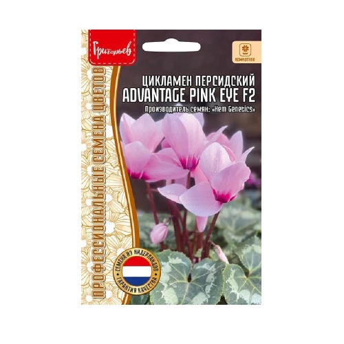 Цикламен Advantage Pink Eye F2 персидский 3шт _10