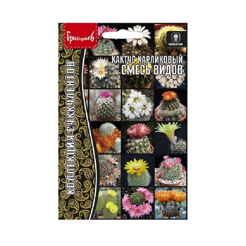 Кактус карликовый Смесь Видов 3шт _10
