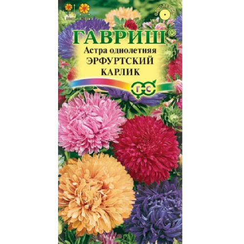 Астра Эрфуртский карлик смесь  0_3гр_10