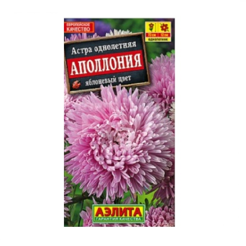 Астра Аполлония Яблоневый цвет  0_2гр_10
